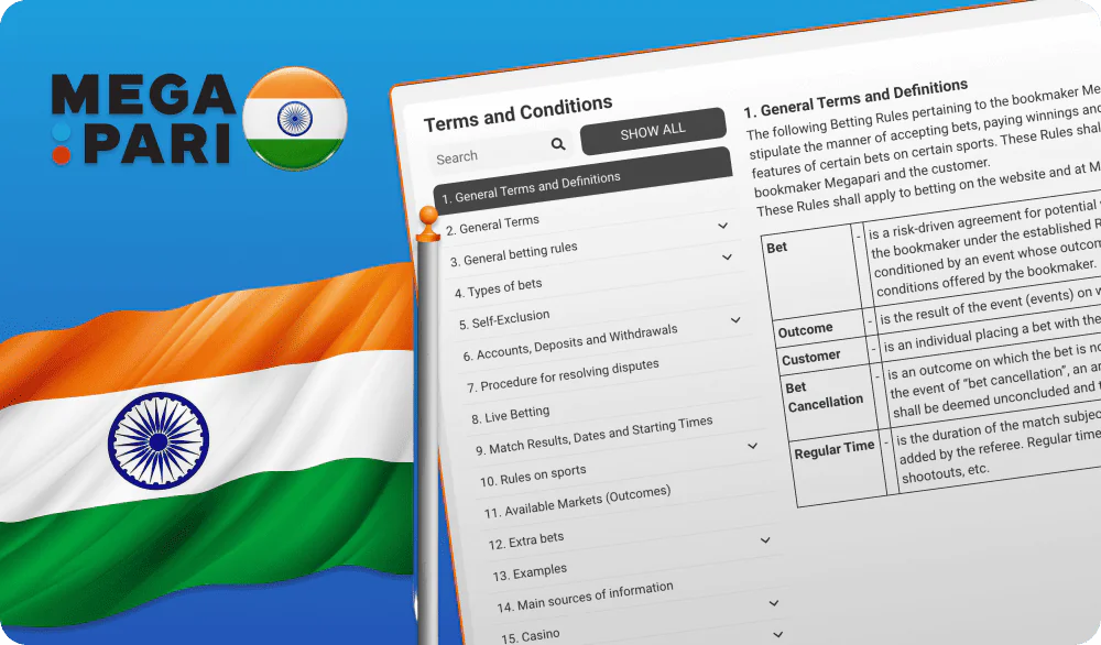 Megapari India's Terms of Use